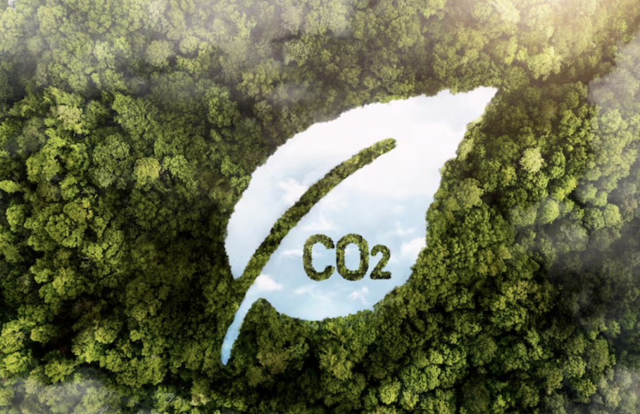 Gobernanza climática: arquitectura sin alma cuando falta liderazgo